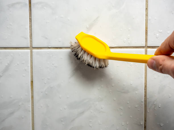 Best Emergency Mold Remediation in Port Royal, SC