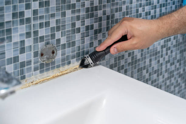 Best Residential Mold Remediation in Port Royal, SC